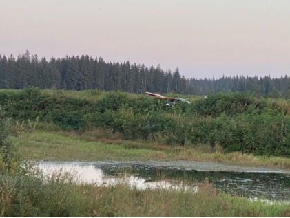 Photograph 1 – Accident Airplane at accident site., from the NTSB investigation of Bellanca 8GCBC accident near Cordova, Alaska, September 3, 2023