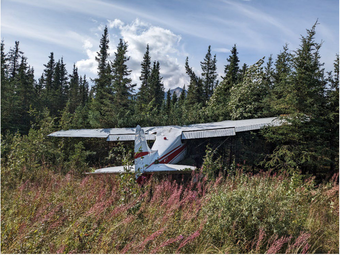 Photograph <built-in method index of str object at 0x7fdee1e55a20>, from the NTSB investigation of Cessna 170B accident near Healy, Alaska, August 15, 2024