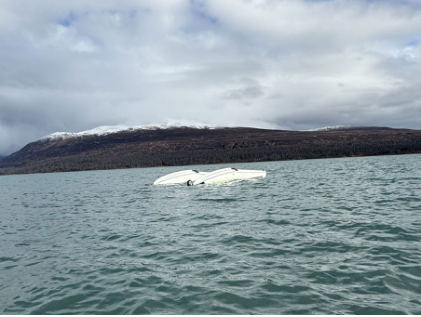 Photograph 1 – Image of submerged airplane before recovery, from the NTSB investigation of Cessna U206B accident near Skwentna, Alaska, October 4, 2024
