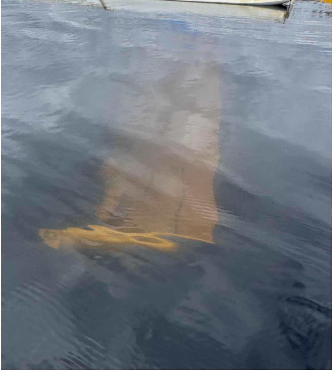 Photograph <built-in method index of str object at 0x7fdee1e1a8d0>, from the NTSB investigation of Cessna A185F accident near Trapper Creek, Alaska, May 21, 2025
