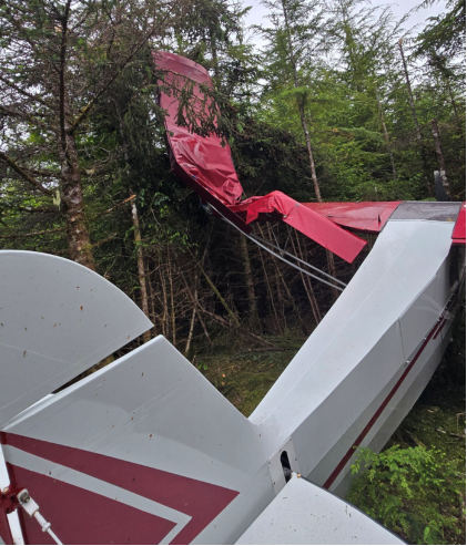 Photograph 1 – Image of left wing, fuselage, and empennage, from the NTSB investigation of Piper PA-18-135 accident near Chenega, Alaska, June 28, 2025