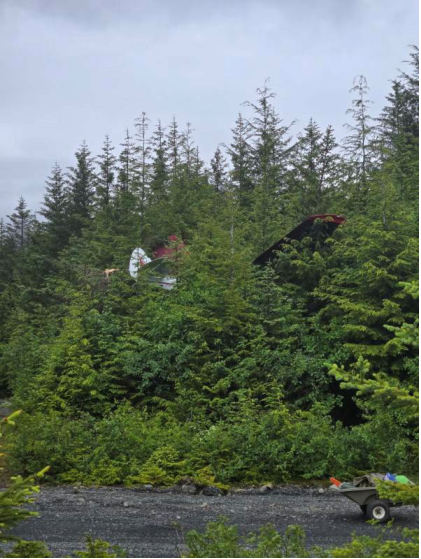 Photograph 3 – Image of accident airplane in the tree line, from the NTSB investigation of Piper PA-18-135 accident near Chenega, Alaska, June 28, 2025