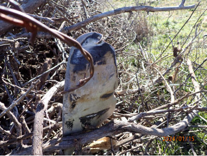 Photograph 3 – Right propeller blade in bush, from the NTSB investigation of Cessna 310R accident near Poolville, Texas, January 14, 2024