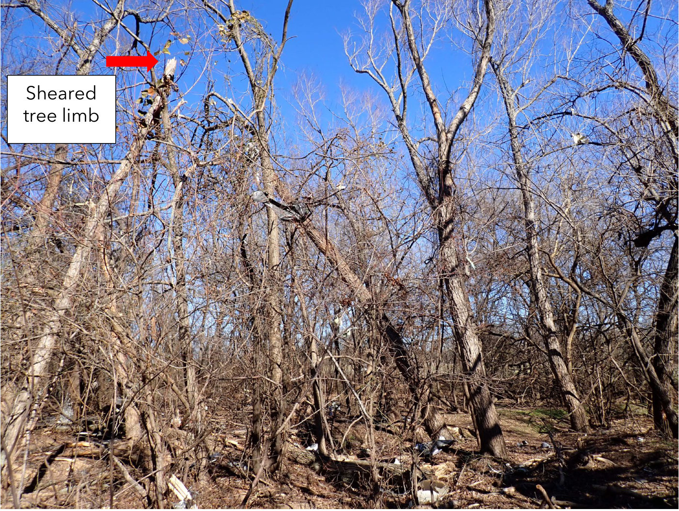Photograph <built-in method index of str object at 0x7fdee1fda240>, from the NTSB investigation of Cessna 310R accident near Poolville, Texas, January 14, 2024