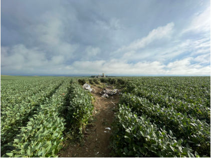 Photograph 1 – Accident Site Overview, from the NTSB investigation of Rans S19 accident near Crofton, Nebraska, August 26, 2024