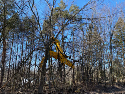Photograph 1 – Accident airplane, from the NTSB investigation of Piper J3C-65 accident near South Lyon, Michigan, February 12, 2024