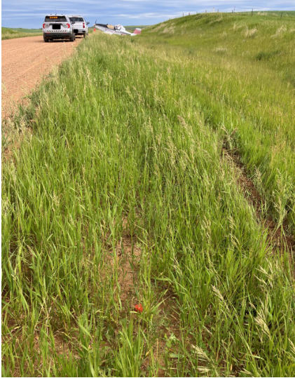 Photograph 1 – Overall view of the accident site, from the NTSB investigation of Thrush Aircraft INC S2R accident near Hebron, North Dakota, June 17, 2024