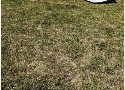 Photograph 1 – Accident Site (Courtey of the Federal Aviation Administration), from the NTSB investigation of Zenith Aircraft Company Zodiac CH601 XL accident near Odessa, Missouri, September 2, 2024