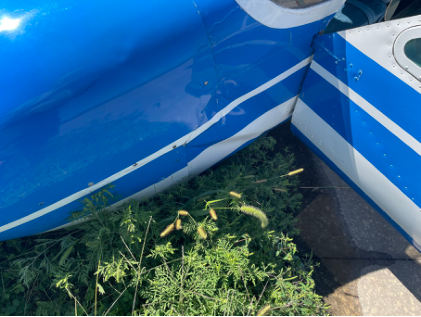 Photograph 2 – Accident airplane, from the NTSB investigation of Cessna 177 accident near Lawrence, Kansas, August 31, 2024