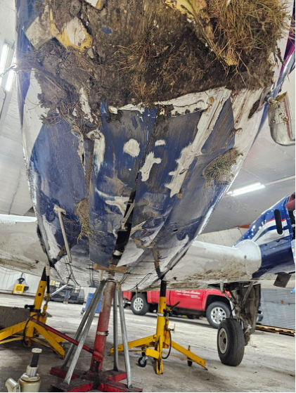 Photograph 3 – Forward Fuselage (Park Rapids Aviation), from the NTSB investigation of Beech 58TC accident near International Falls, Minnesota, October 20, 2024