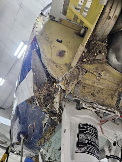 Photograph 7 - Fuselage (Park Rapids Aviation), from the NTSB investigation of Beech 58TC accident near International Falls, Minnesota, October 20, 2024