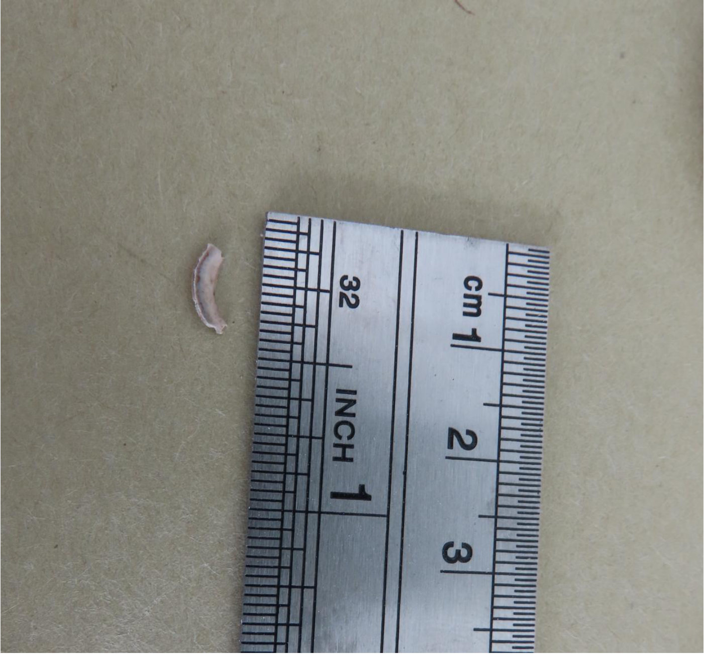 Photograph <built-in method index of str object at 0x7fdee1e73730>, from the NTSB investigation of Piper Aircraft INC PA-28-181 accident near Addison, Texas, January 15, 2025