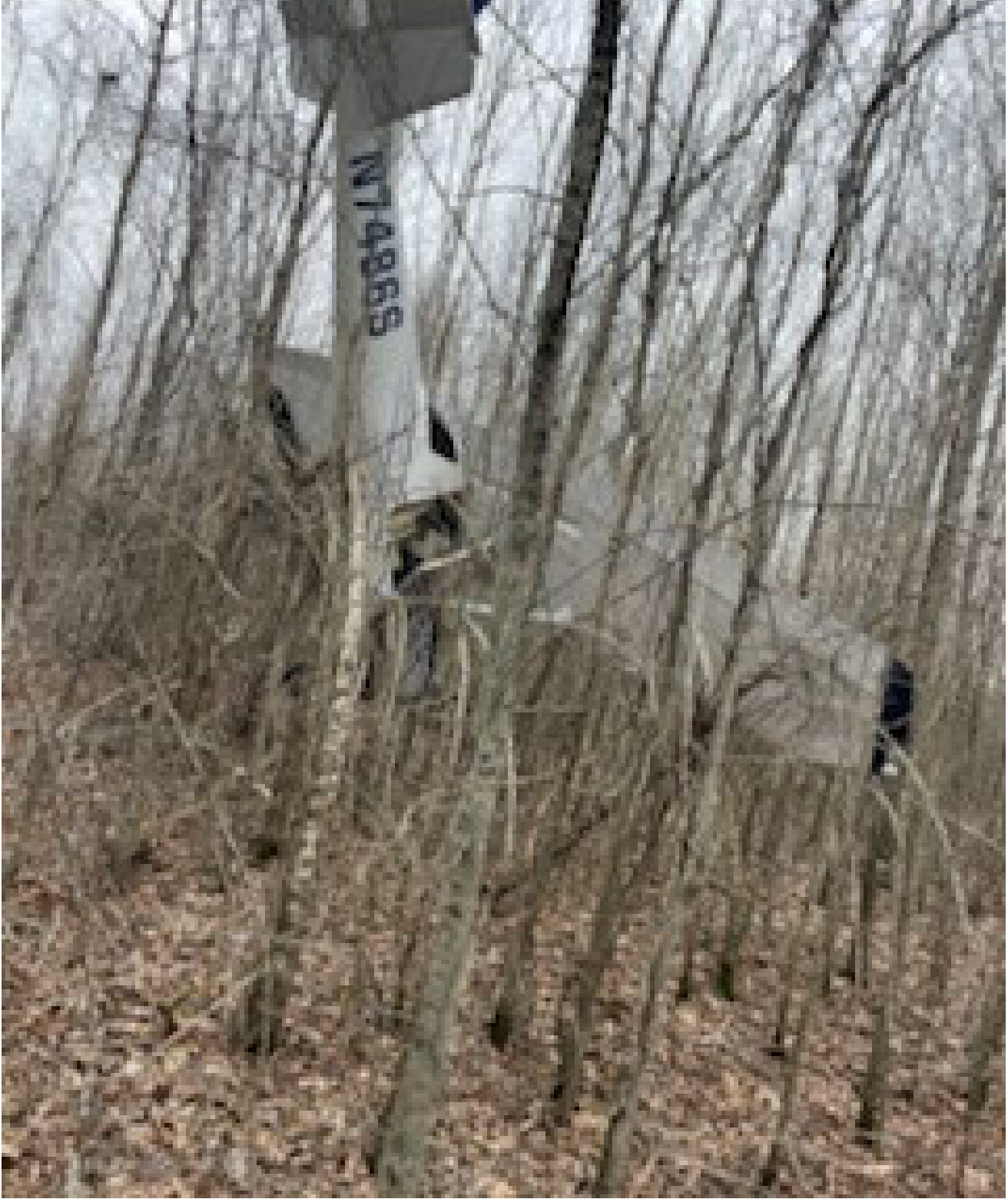 Photograph <built-in method index of str object at 0x7fdef9125660>, from the NTSB investigation of Cessna 150J accident near Greenville, Mississippi, February 18, 2025