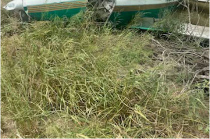 Photograph 2 – View of airplane wreckage, from the NTSB investigation of Mooney M20M accident near Ben Bolt, Texas, June 30, 2025