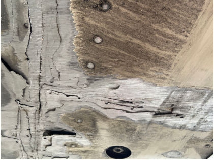 Photograph 2 – Fuselage damage, from the NTSB investigation of Cessna R182 accident near Brainerd, Minnesota, November 5, 2025