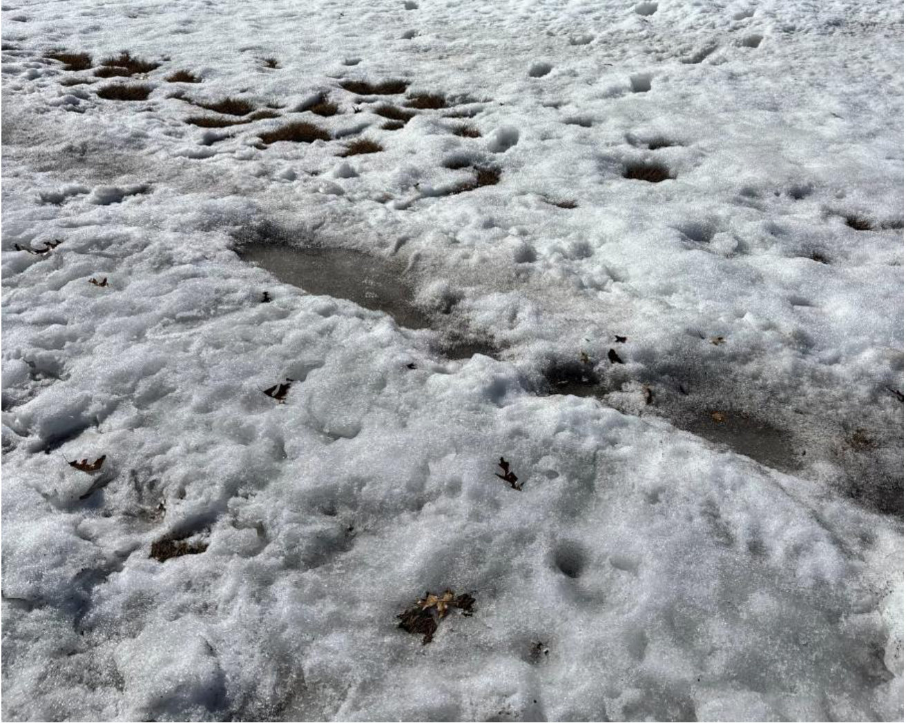 Photograph <built-in method index of str object at 0x7fdee1e3bfa0>, from the NTSB investigation of Cessna 172M accident near Solon Springs, Wisconsin, March 9, 2026