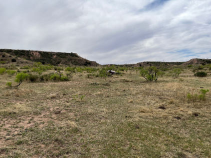 Photograph 2 – Overall view of the accident site, from the NTSB investigation of Robinson Helicopter Company R44 accident near Mount Blanco, Texas, April 17, 2026