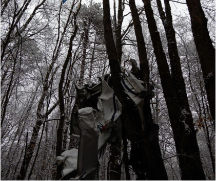 Photograph 1 – Initial Impact with Trees (NTSB Photo), from the NTSB investigation of Amateur-built STOL CH701 accident near Marienville, Pennsylvania, December 30, 2023