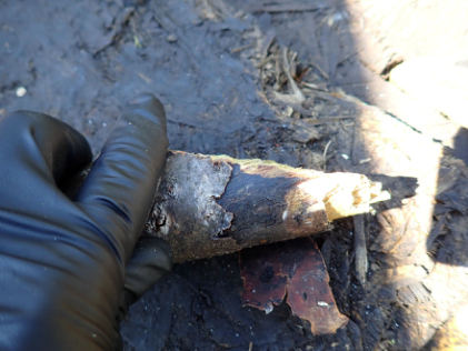 Photograph 5 – Piece of wood at accident site with 45° cut, from the NTSB investigation of Piper PA28R accident near Vergennes, Vermont, September 8, 2024