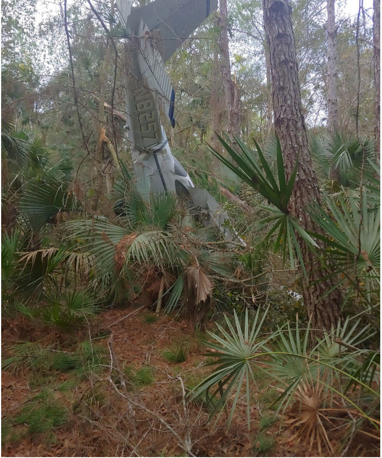 Photograph <built-in method index of str object at 0x7fdee1e19c50>, from the NTSB investigation of Cessna 172 accident near Pierson, Florida, February 16, 2024