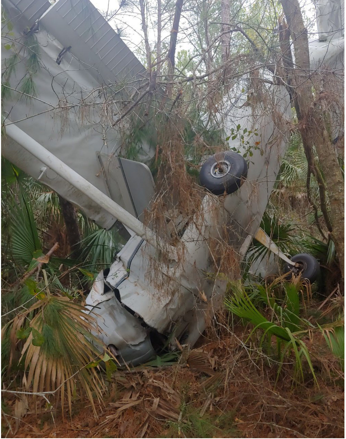 Photograph <built-in method index of str object at 0x7fdef9142c90>, from the NTSB investigation of Cessna 172 accident near Pierson, Florida, February 16, 2024
