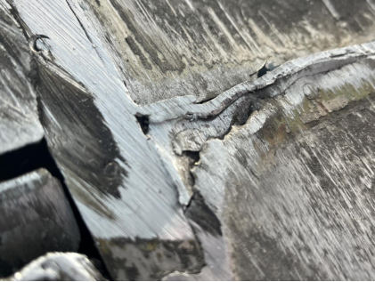 Photograph 2 – Damage to airplane structure, from the NTSB investigation of Piper PA24 accident near Stafford, Virginia, March 7, 2024