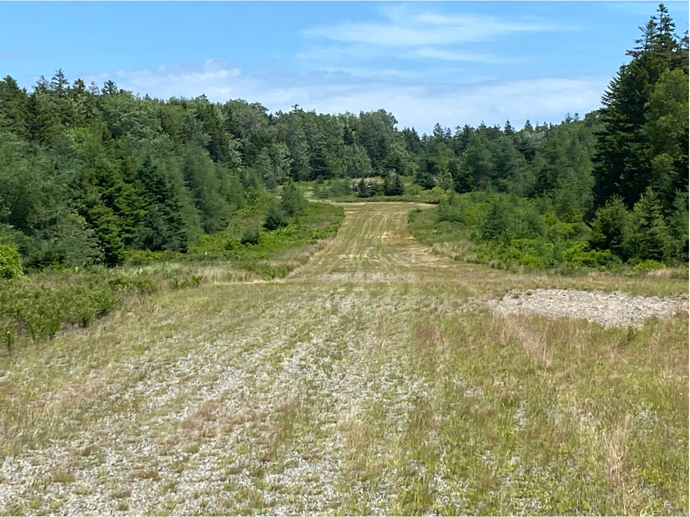 Photograph <built-in method index of str object at 0x7fdee1e3a380>, from the NTSB investigation of Cessna 150 accident near Swans Island, Maine, June 25, 2024