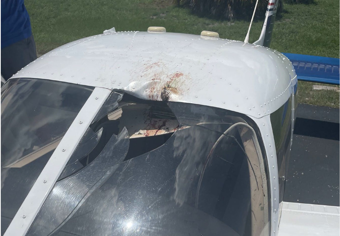 Photograph <built-in method index of str object at 0x7fdee1eba5b0>, from the NTSB investigation of Piper PA-28-181 accident near Clearwater, Florida, July 6, 2024