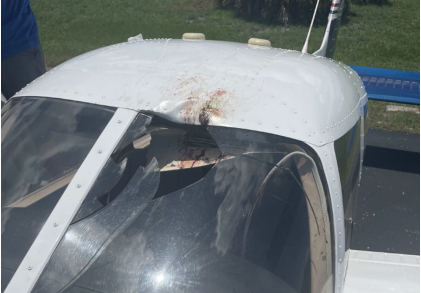 Photograph 1 – Postaccident view of bird impact, from the NTSB investigation of Piper PA-28-181 accident near Clearwater, Florida, July 6, 2024