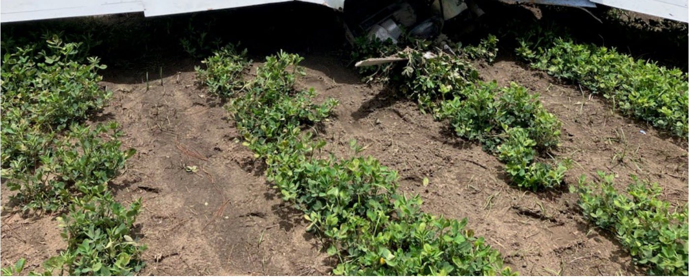 Photograph <built-in method index of str object at 0x7fdee1e18cb0>, from the NTSB investigation of Amateur-built LONG-EZ accident near Thomasville, Georgia, July 10, 2024