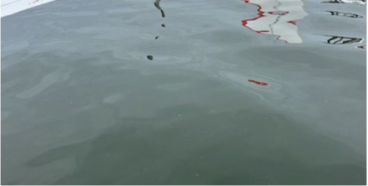 Photograph <built-in method index of str object at 0x7fdee1e56b50>, from the NTSB investigation of Amateur-built SEAREY accident near Eustis, Florida, July 6, 2024