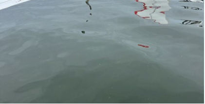Photograph 1 – Postaccident view of submerged aircraft, from the NTSB investigation of Amateur-built SEAREY accident near Eustis, Florida, July 6, 2024