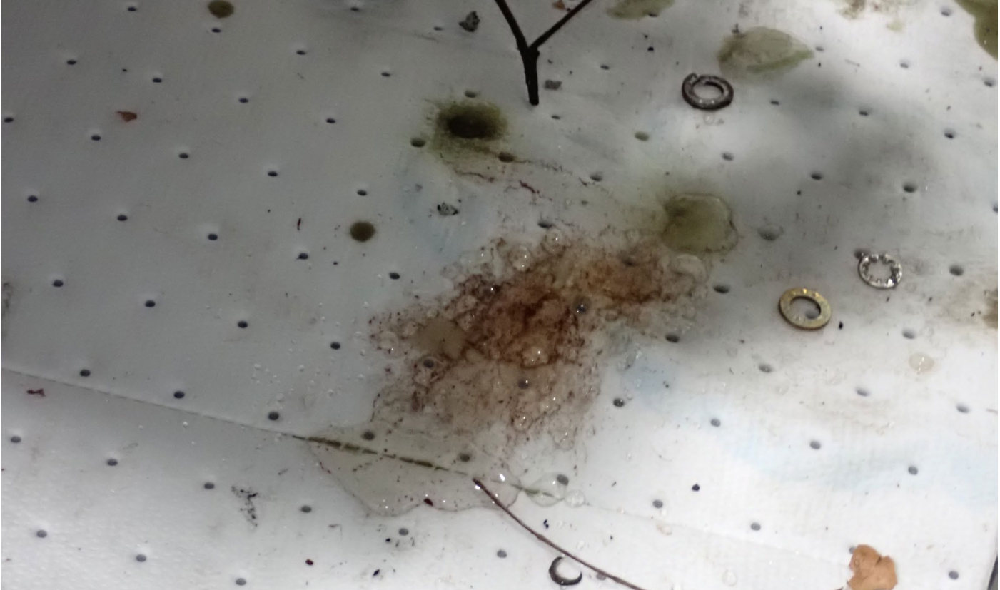 Photograph <built-in method index of str object at 0x7fdee1e43870>, from the NTSB investigation of Cessna 172 accident near Lynchburg, Virginia, August 29, 2024