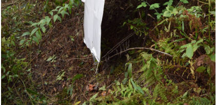 Photograph 4 – FAA Digital Photograph. View of the Nearly Completely Fractured Left Wing, from the NTSB investigation of Mooney M20K accident near Fairmont, West Virginia, August 30, 2024