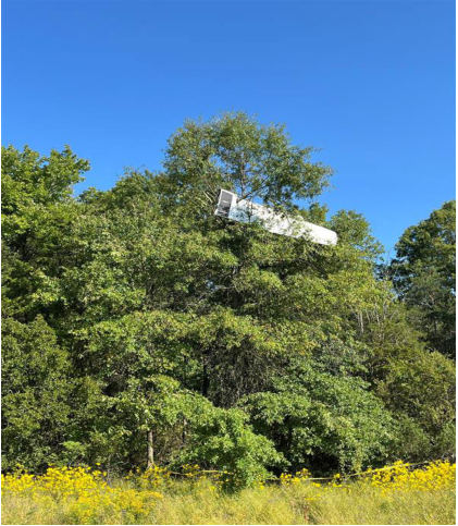 Photograph 3 – Right wing suspended in a tree above the airplane., from the NTSB investigation of Piper PA-28-181 accident near Somerville, New Jersey, September 4, 2024