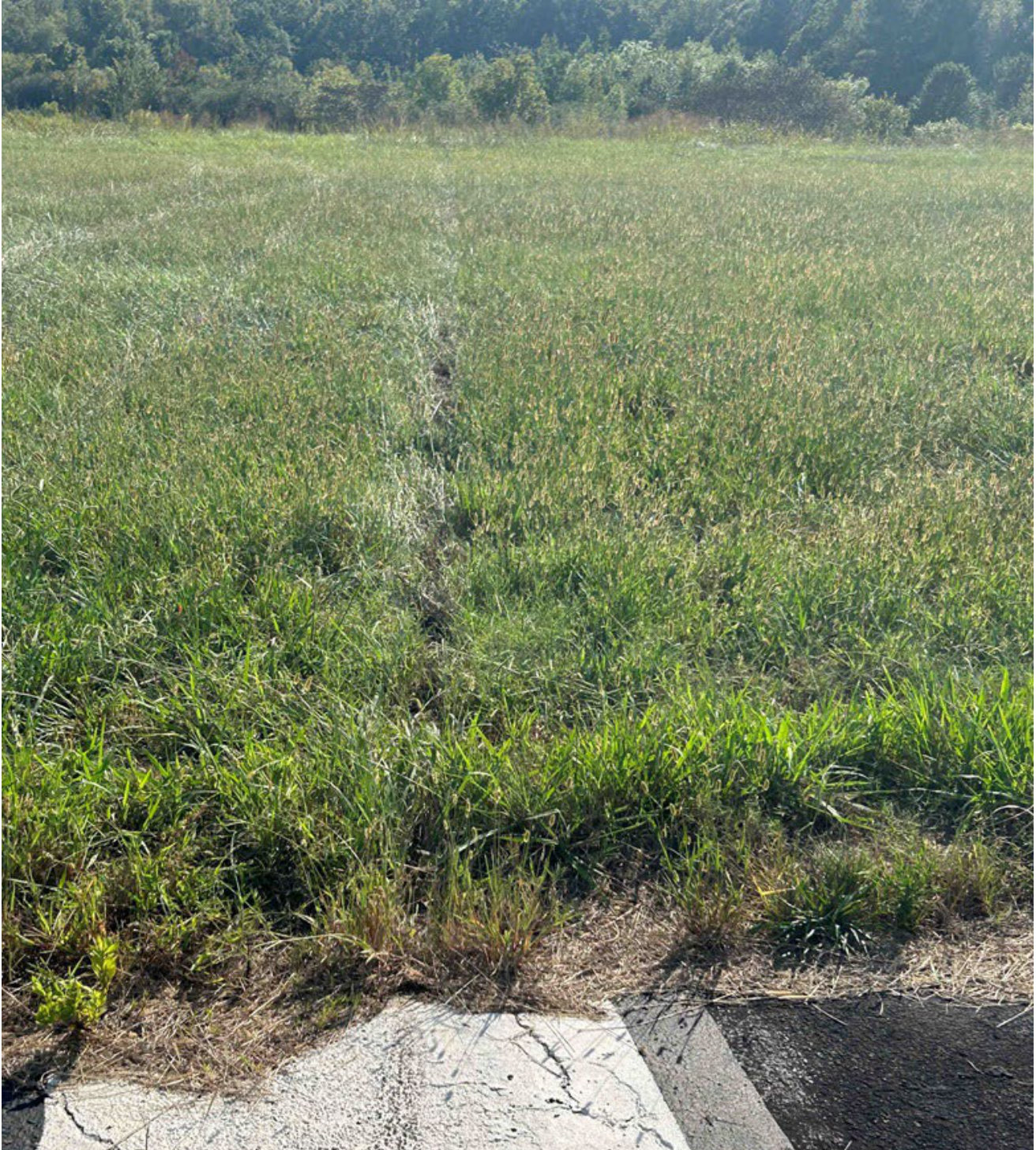 Photograph <built-in method index of str object at 0x7fdef902b140>, from the NTSB investigation of Piper PA28 accident near Lagrange, Georgia, September 23, 2024