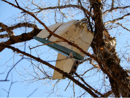 Photograph 7 – Left Wing Outboard Section (NTSB Photo), from the NTSB investigation of Cessna 150F accident near Wilder, Tennessee, October 31, 2024