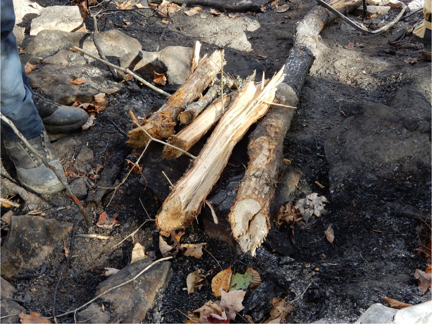 Photograph <built-in method index of str object at 0x7fdef912a100>, from the NTSB investigation of Cessna 150F accident near Wilder, Tennessee, October 31, 2024