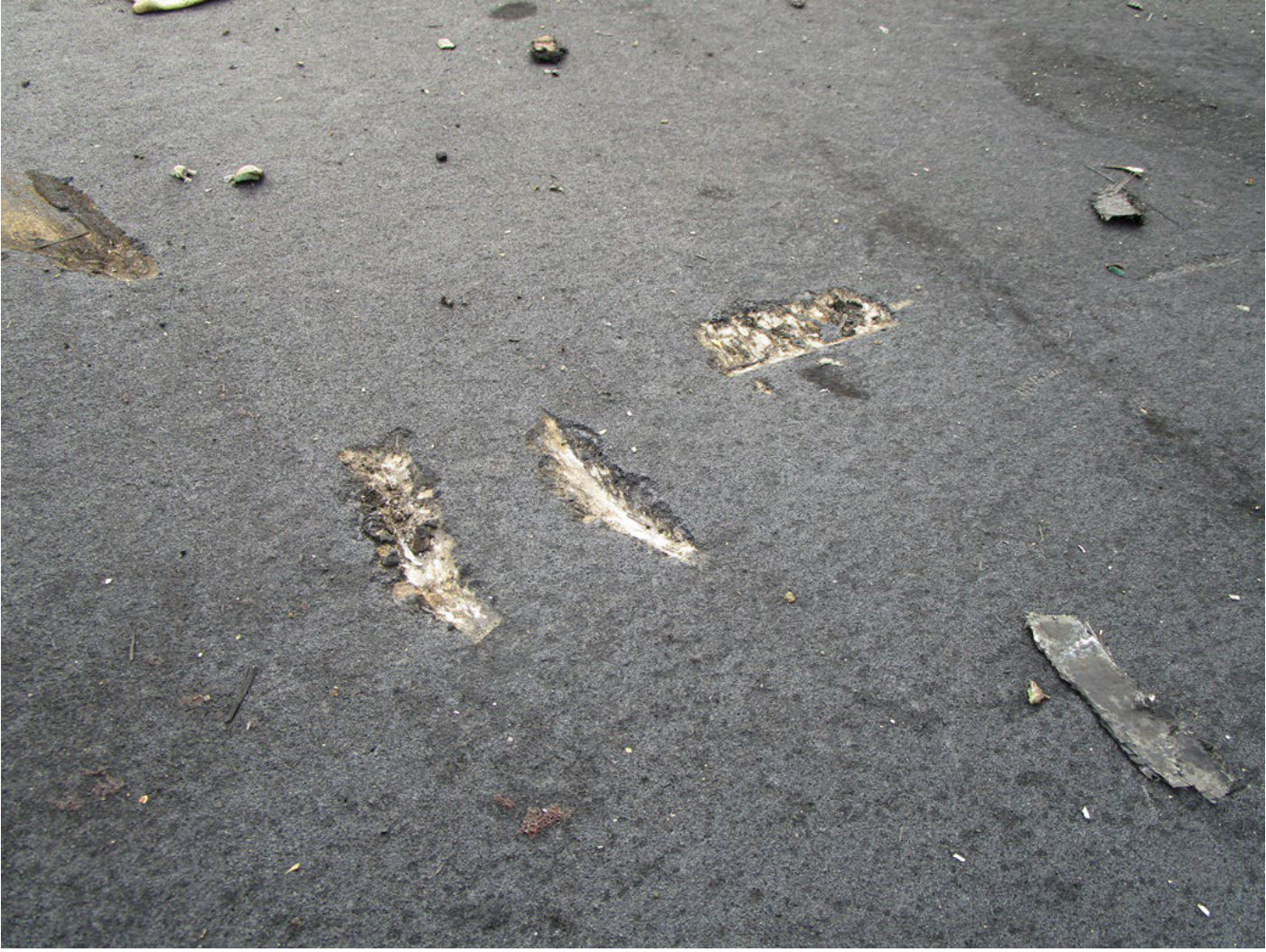 Photograph <built-in method index of str object at 0x7fdef9142010>, from the NTSB investigation of Magni Builder LLC M-16 accident near Foley, Alabama, December 9, 2024