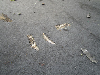 Photograph 4 – Propeller Gouges on Runway, from the NTSB investigation of Magni Builder LLC M-16 accident near Foley, Alabama, December 9, 2024