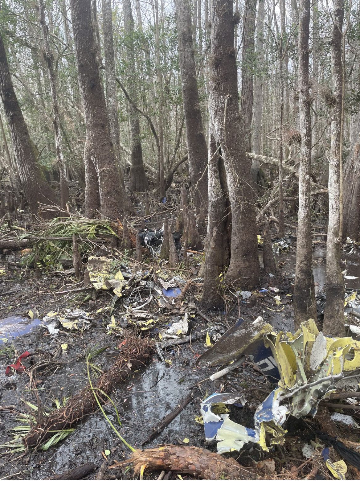 Photograph <built-in method index of str object at 0x7fdee1e180d0>, from the NTSB investigation of Cessna 208 accident near Pierson, Florida, February 14, 2025