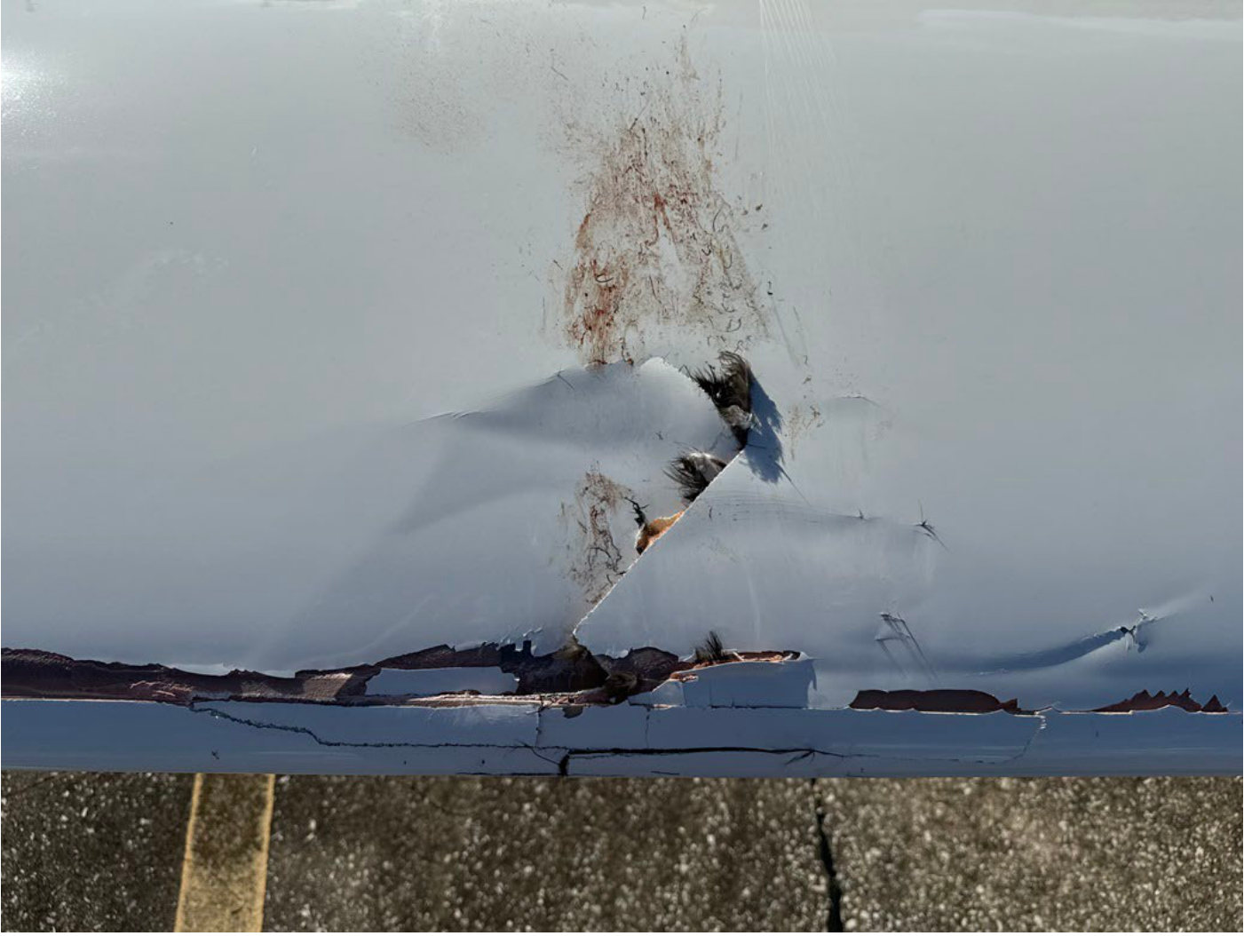Photograph <built-in method index of str object at 0x7fdee1eb8e90>, from the NTSB investigation of Cirrus Design CORP SR20 accident near Sebring, Florida, October 24, 2024