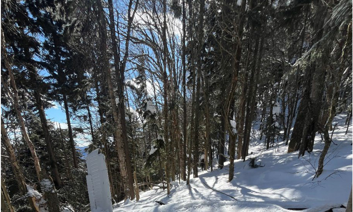 Photograph <built-in method index of str object at 0x7fdee1e71a20>, from the NTSB investigation of Piper PA-28-235 accident near Manchester, Vermont, February 26, 2025