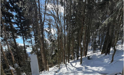 Photograph 3 – View of the Airplane on its Right Side, from the NTSB investigation of Piper PA-28-235 accident near Manchester, Vermont, February 26, 2025
