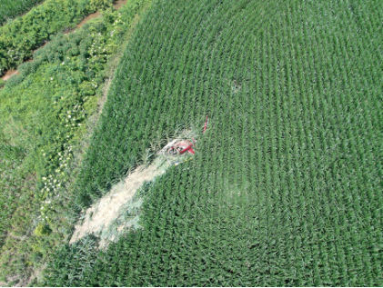 Photograph 1 – Accident site from the air, from the NTSB investigation of Robinson Helicopter Company R44 II accident near Hawesville, Kentucky, June 25, 2025
