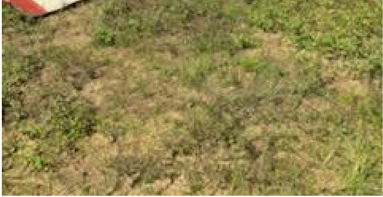 Photograph <built-in method index of str object at 0x7fdee1e722e0>, from the NTSB investigation of Piper PA-22-135 accident near Elberta, Alabama, June 27, 2025