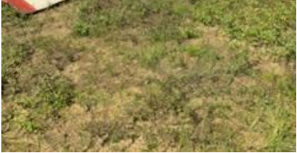 Photograph 2 – View of airplane upside down., from the NTSB investigation of Piper PA-22-135 accident near Elberta, Alabama, June 27, 2025