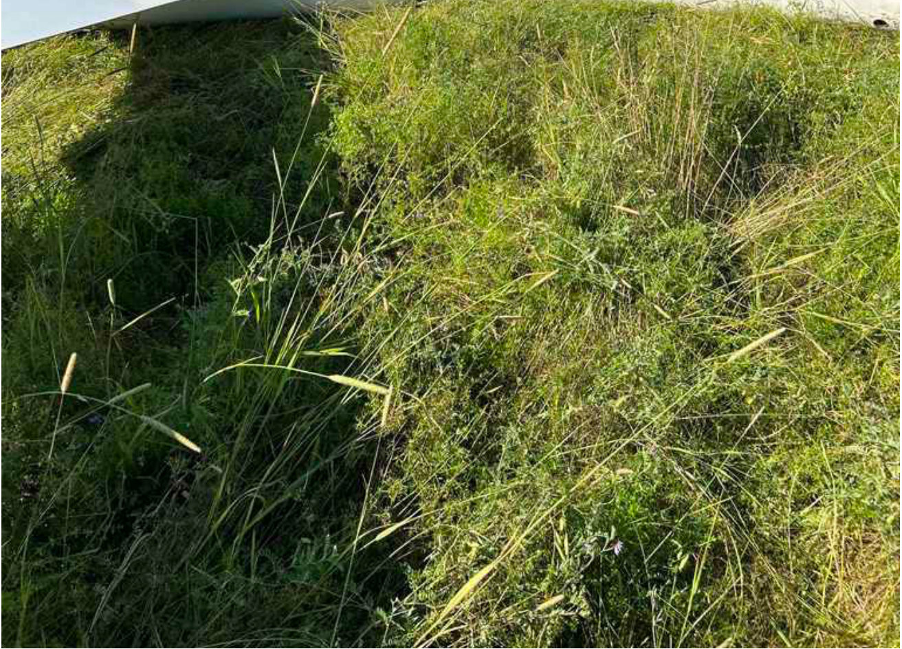 Photograph <built-in method index of str object at 0x7fdee1e1b730>, from the NTSB investigation of Grob-Werke TWIN ASTIR accident near Franconia, New Hampshire, July 24, 2025