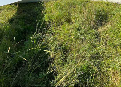 Photograph 1 –Glider in Field with Broken Tail Boom, from the NTSB investigation of Grob-Werke TWIN ASTIR accident near Franconia, New Hampshire, July 24, 2025
