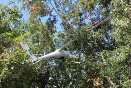 Photograph 1 – Main Wreckage in Tree, from the NTSB investigation of Jonker Sailplanes (PTY) LTD JS3 accident near New Castle, Virginia, September 13, 2025